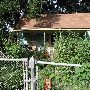 Chautauqua Ave and W Eufaula St