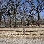 Mineral Wells Park