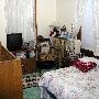 Young House