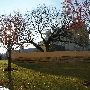 Oklahoma City National Memorial & Museum