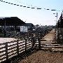 Oklahoma City Stockyards