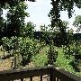 Stable Ridge Vinyards