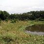 Tatanka Ranch