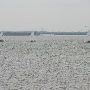 Lake Hefner