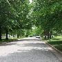 Mesta Park Historical Neighborhood