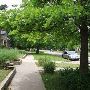 Mesta Park Historical Neighborhood