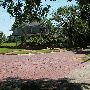 Charlie's House