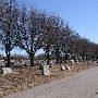 Gracelawn Cemetery