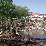 Philbrook Museum