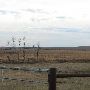 Hughes Ranch