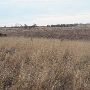 Hughes Ranch