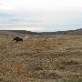 Hughes Ranch