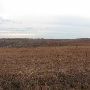 Hughes Ranch
