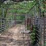 Okmulgee Live Stock Yard