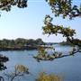Okmulgee & Dripping Springs Lake & Recreation Area