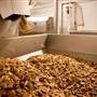 Benson Park Pecans