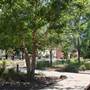 Myriad Botanical Gardens