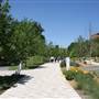 Myriad Botanical Gardens