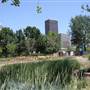 Myriad Botanical Gardens