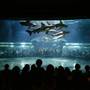 Oklahoma Aquarium - Jenks