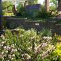 Linnaeus Garden