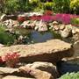 Linnaeus Garden