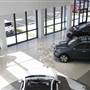 David Stanley Kia