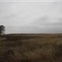 Nightmare in the Country - Kenton Ranch