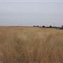 Woodward - Energy Field