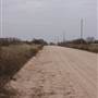 Dirt Road EW40 - Woodward