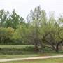 Dolese Youth Park
