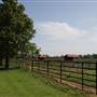 NFL Farms