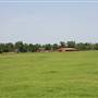 NFL Farms