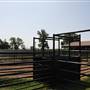 NFL Farms