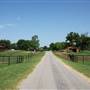 NFL Farms