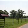 NFL Farms