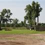 NFL Farms