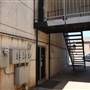 AlleyCats Salon
