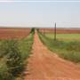 Dirt Road - N2790 and 820 - Kingfisher
