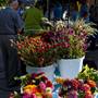 Edmond Festival Market Place