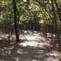 Martin Nature Park