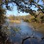 Martin Nature Park