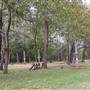 Camp DaKaNi