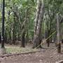 Camp DaKaNi