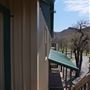 Camp Y'shua