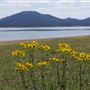 Lake Lawtonka