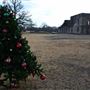 Fort Washita