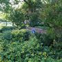 Southeastern Oklahoma State University