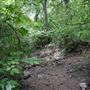 Stinchcomb Wildlife Refuge