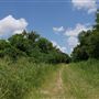 Stinchcomb Wildlife Refuge